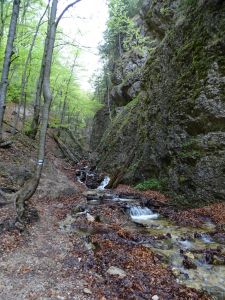 dsc09388_0.jpg