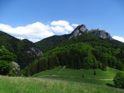 dsc09555.jpg