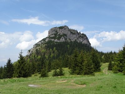 dsc09649.jpg