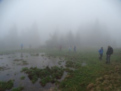 dsc09670.jpg