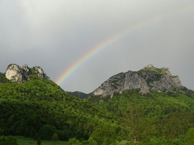 dsc00002.jpg