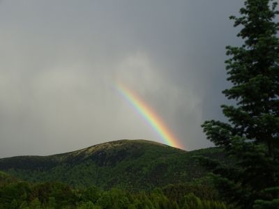 dsc00004.jpg