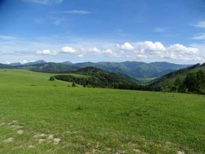 dsc00029.jpg