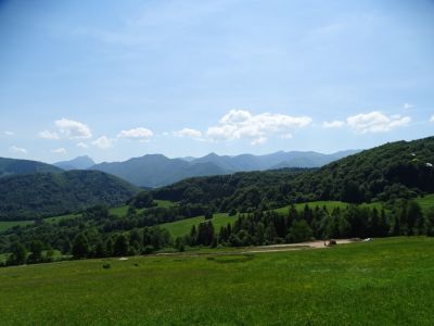 dsc00370.jpg
