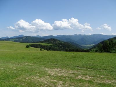 dsc00652.jpg