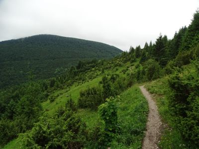 dsc01076.jpg