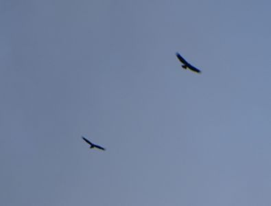 dsc01119.jpg