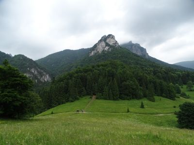 dsc01366.jpg
