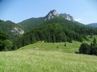 dsc01645.jpg