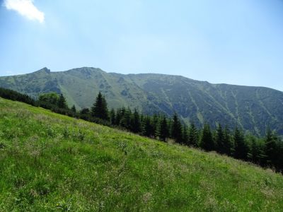 dsc01660.jpg
