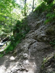 dsc01735.jpg