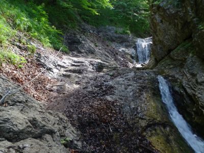 dsc01741.jpg