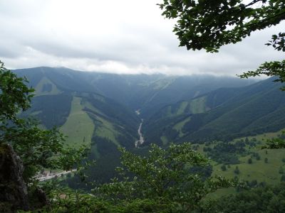 dsc01935.jpg