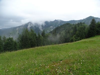 dsc01964.jpg