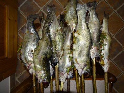 dsc02515-2.jpg