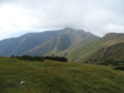 dsc02557.jpg