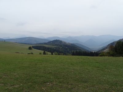 dsc03229.jpg