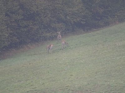 dsc03265.jpg
