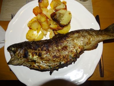 dsc03283.jpg