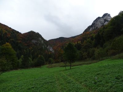 dsc03314.jpg