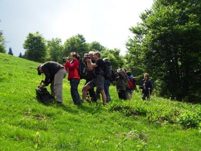 30.5. – 6.6. 2015 Naturreise im Nationalpark Mala Fatra und Orava