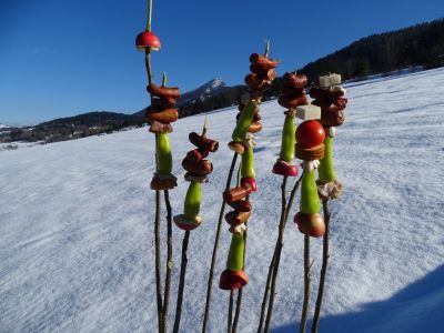 dsc06007-auch-unsere-spiese-wollten-gruppenfoto.jpg