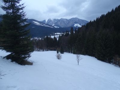 dsc06033.jpg