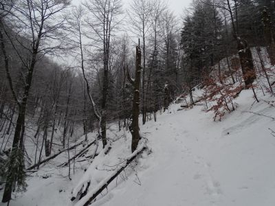 dsc06067.jpg