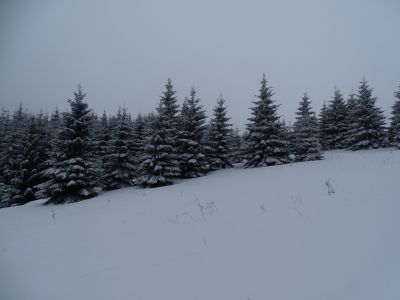 dsc06071.jpg