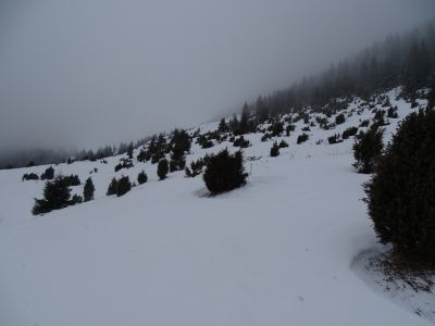 dsc06084.jpg