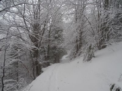 dsc06087.jpg