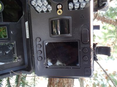 dsc02407-diese-fotofalle-hat-ein-br-durchgekaut.jpg