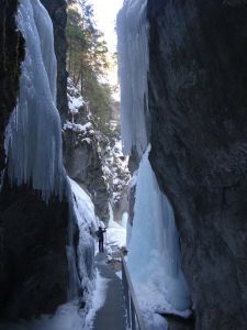 dsc02486.jpg