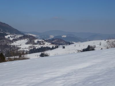 dsc02512.jpg