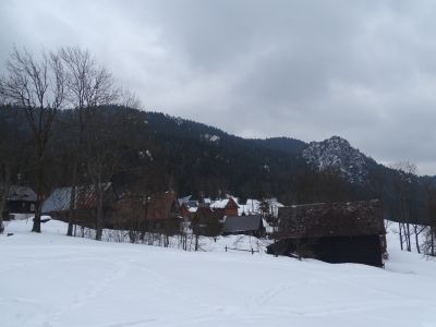 dsc02862.jpg