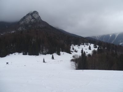 dsc02880.jpg
