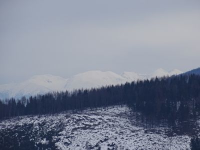 dsc03162-die-hohe-tatra-im-hintergrund.jpg