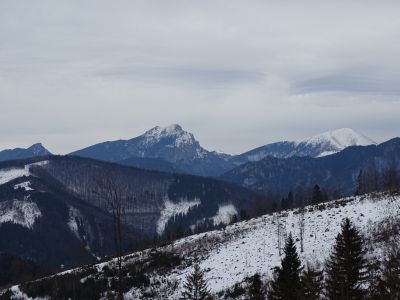 dsc03165.jpg