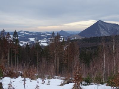 dsc03174.jpg