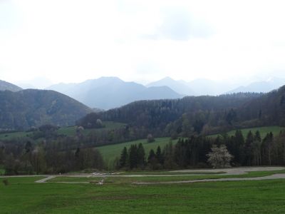dsc04391.jpg