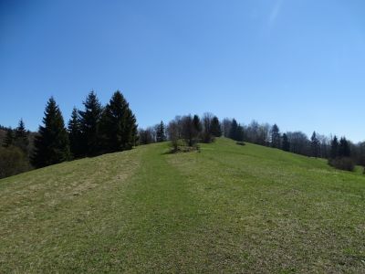 dsc04431.jpg
