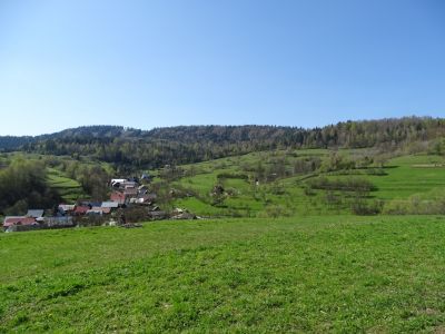 dsc04477.jpg