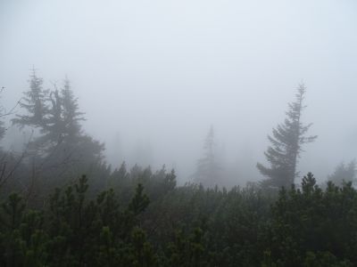 dsc04834.jpg