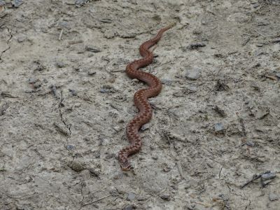 dsc05720-kreuzother.jpg