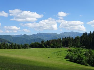 dsc06198.jpg