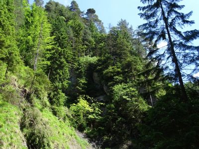 dsc06610.jpg