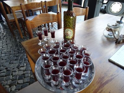 dsc08147-zecken-impfung.jpg