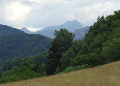 dsc08164.jpg