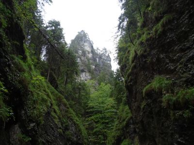 DSC09115.JPG