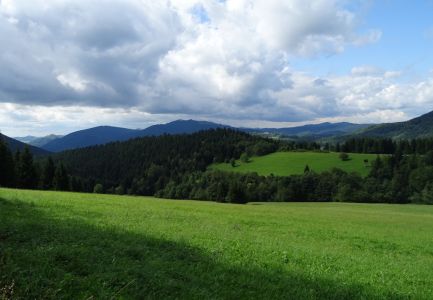 DSC09145.JPG